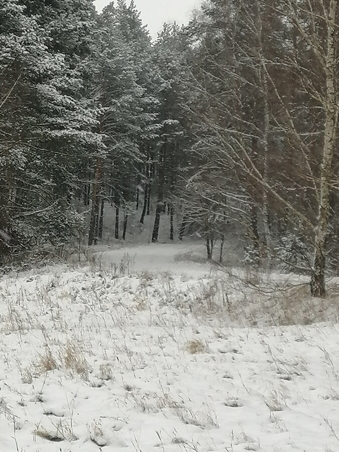 Problemy z dojazdem [KOMUNIKAT]