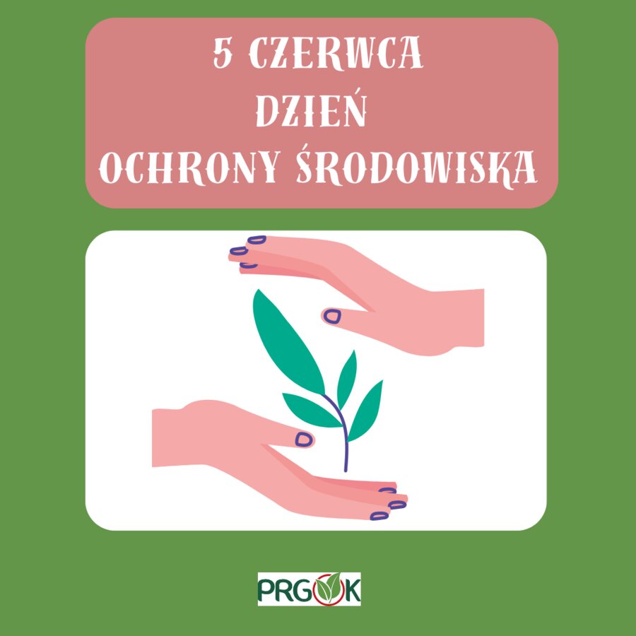 Chrońmy środowisko - nie tylko od święta