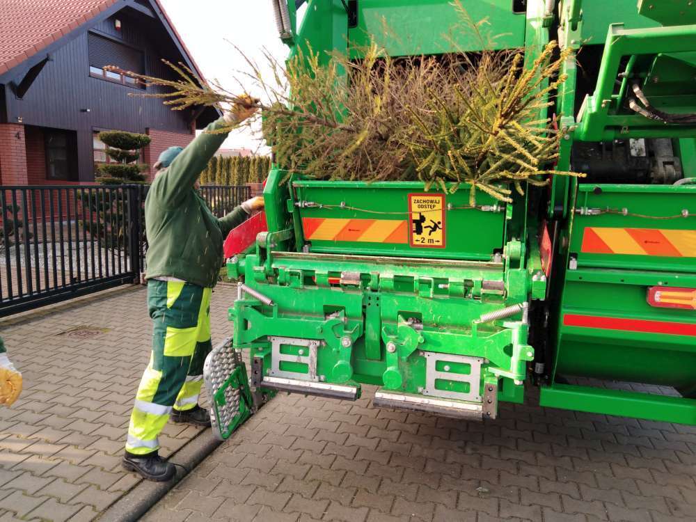 Harmonogram odbioru choinek 2025