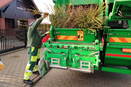 Harmonogram odbioru choinek 2025