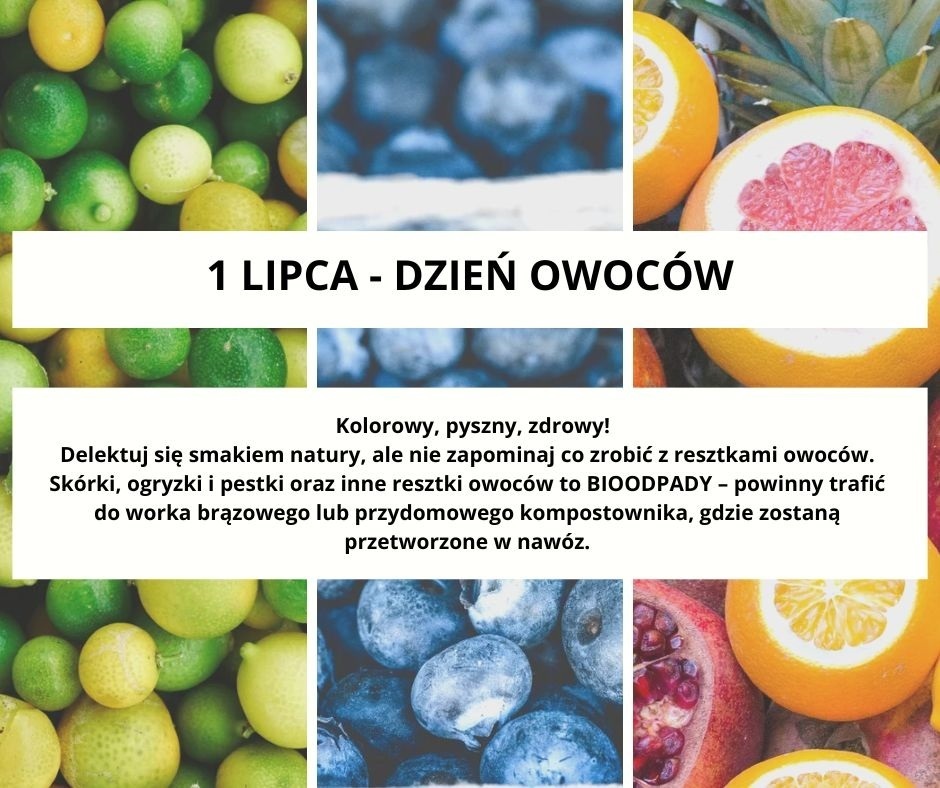 DZIEŃ OWOCÓW